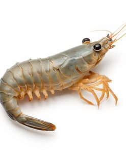 Langostino Entero Calibre 30/40 - 2kg