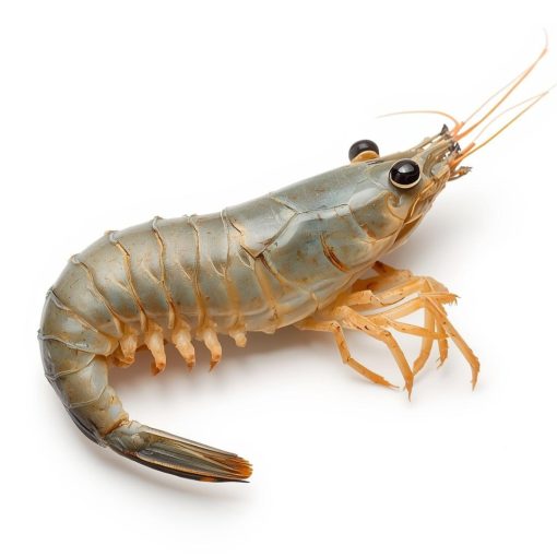 Langostino Entero Calibre 30/40 - 2kg